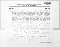 Melampsora rostrupii image